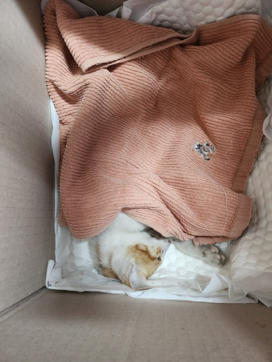 함안군유기동물보호소_448540202400919